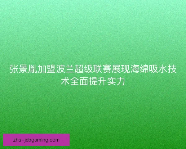 张景胤加盟波兰超级联赛展现海绵吸水技术全面提升实力 张景胤加盟波兰超级联赛展现海绵吸水技术全面提升实力